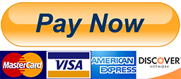 paypal pay now button png 15